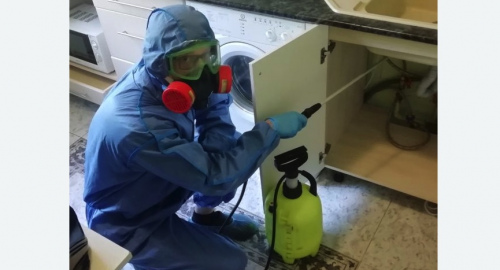 Уничтожение муравьев в квартире. Ивановское