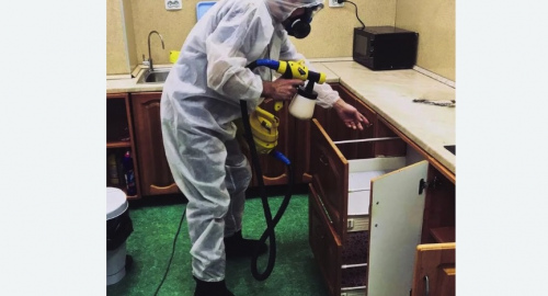 Уничтожение насекомых в квартире. Ивановское