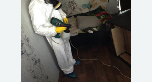 Обработка квартир от насекомых в Ивановском районе Москвы