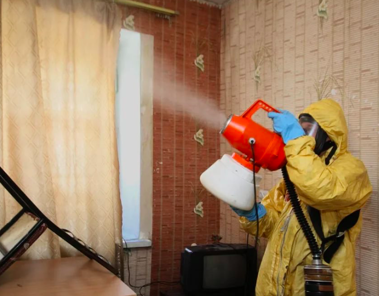 дезинфекция квартиры после смерти Ивановское дезинфекция квартиры после смерти