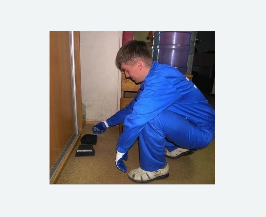 Дератизация крыс в Ивановском районе Москвы