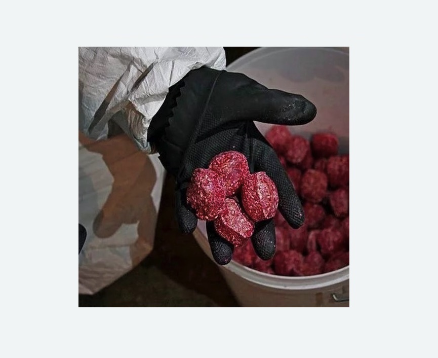 Обработка от крыс в Ивановском районе Москвы