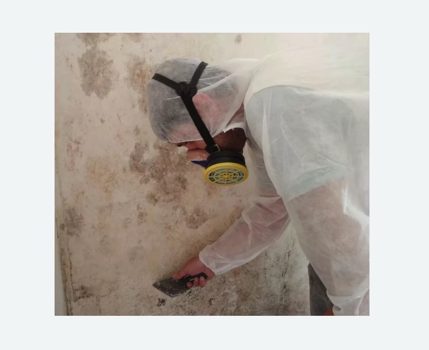 Обработка стен от плесени Обработка стен от плесени в Ивановском районе Москвы