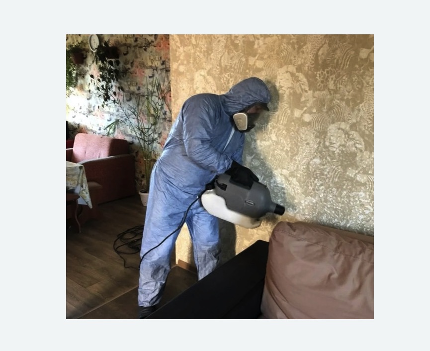 Уничтожение блох в квартире. Ивановское Уничтожение блох в квартире