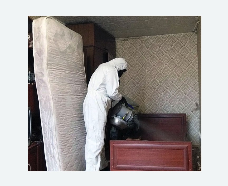 дезинфекция от клопов дезинфекция от клопов в Ивановском районе Москвы