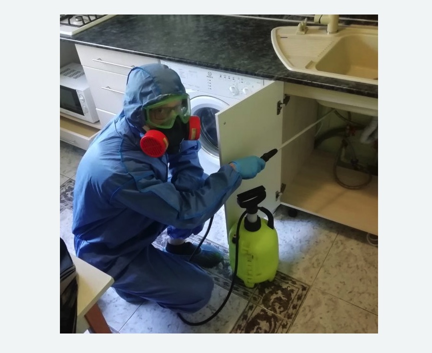 обработка от муравьев в квартире обработка от муравьев в квартире в Ивановском районе Москвы