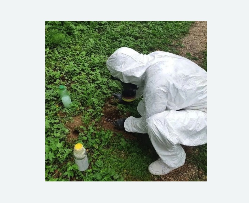 уничтожение кротов на участке уничтожение кротов на участке в Ивановском районе Москвы